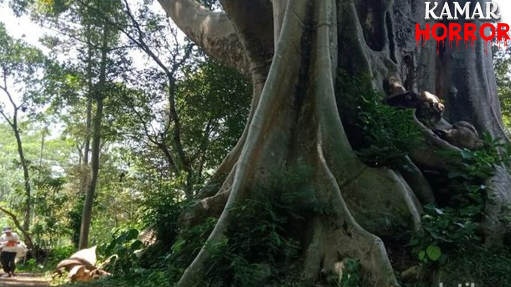 Portal Gaib Boyolali: Tempat Berkumpulnya Para Iblis